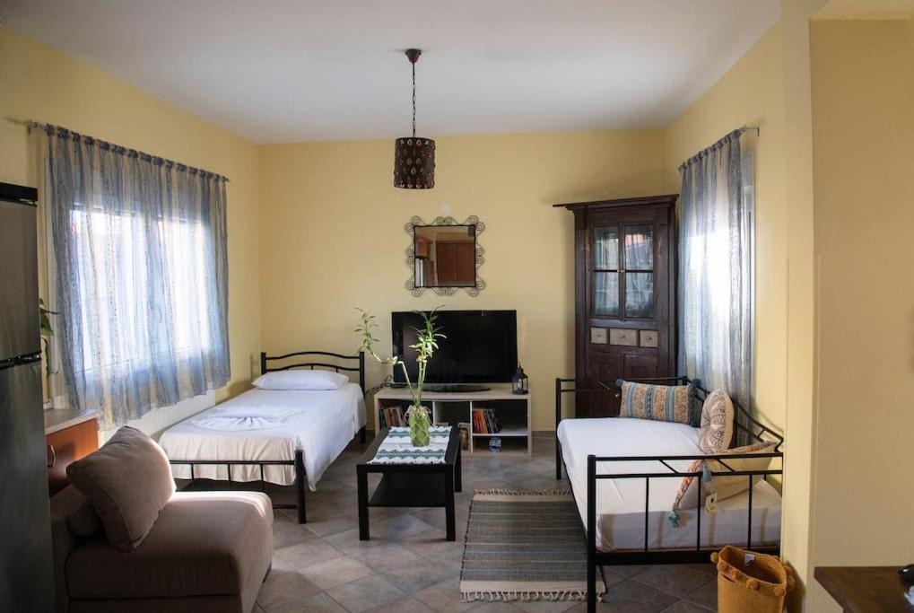 Μάνια Apartment Pythagoreio  Ngoại thất bức ảnh
