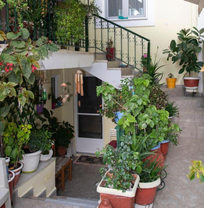 Μάνια Apartment Pythagoreio  Ngoại thất bức ảnh